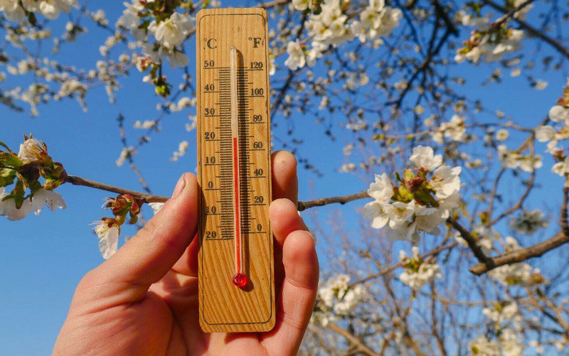 Prognoza meteo 25 martie - 22 aprilie: Meteorologii au anunțat când vine căldura