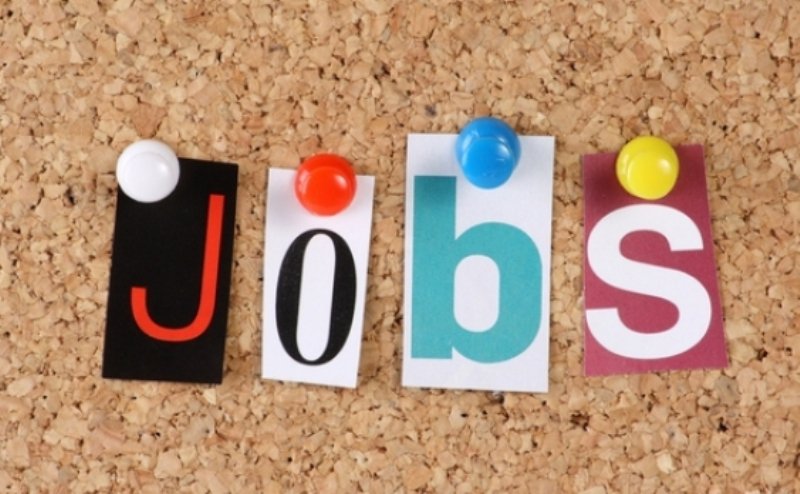 Locuri de muncă vacante la nivelul județului Botoșani la începutul lunii aprilie