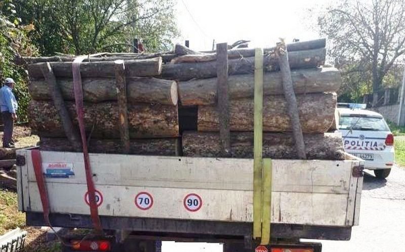 Material lemnos fără documente legale confiscat de polițiști la Dersca