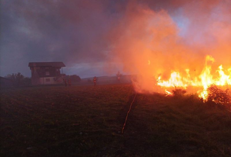 45 de hectare de vegetație uscată au ars, noaptea trecută, în comuna Havârna