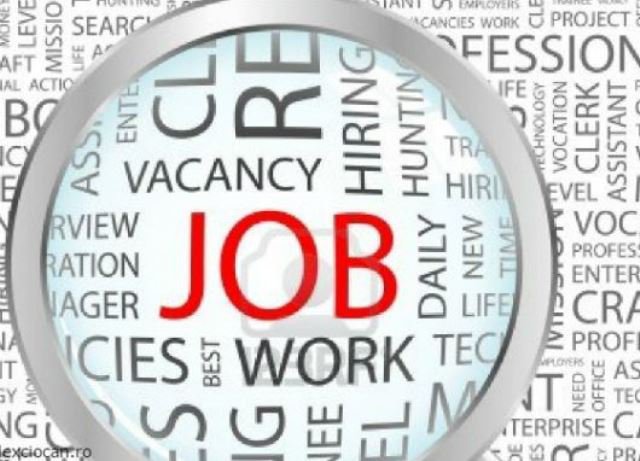 AJOFM Botoșani anunță 360 de locuri de muncă vacante la nivelul județului. Vezi lista!