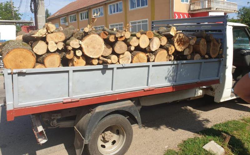 Acțiunile pentru prevenirea și combaterea tăierilor ilegale de arbori continuă în județul Botoșani