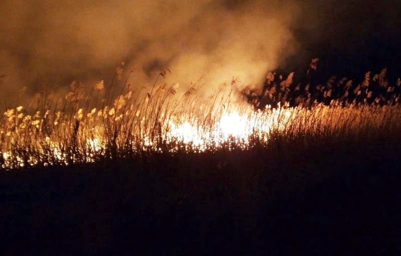 Cinci de hectare de vegetație uscată și stuf au ars seara trecută în comuna Havârna