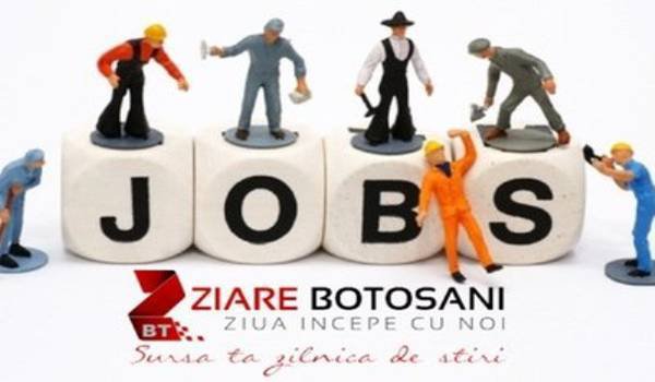 AJOFM Botoșani anunță 536 de locuri de muncă vacante la nivelul județului. Vezi lista!