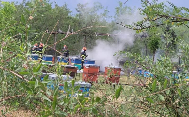 O platformă apicolă cu 20 de stupi a luat foc după ce a fost lovită de trăsnet