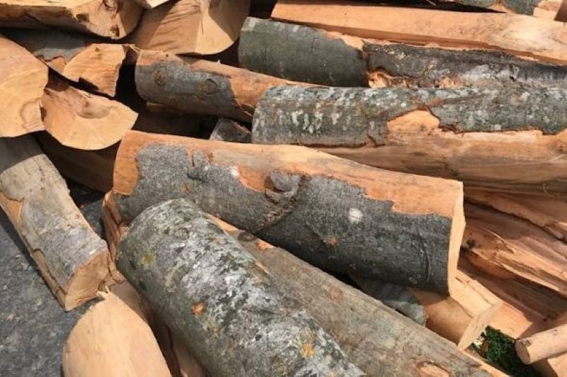 Material lemnos fără documente confiscat la Văculești
