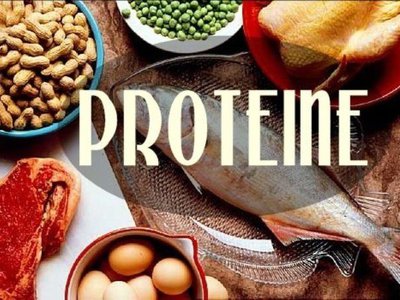 Cât de multe proteine este …