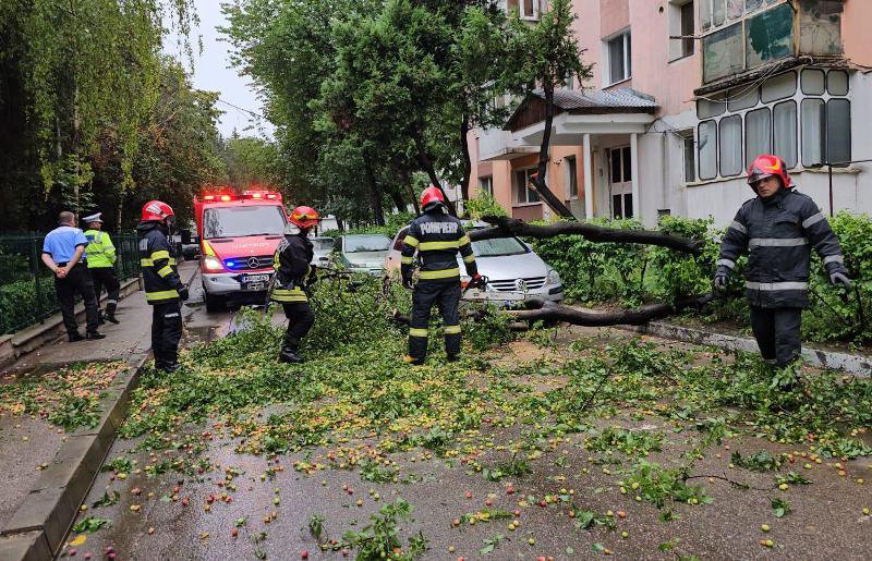 Mașini avariate de copaci căzuți după furtuna de ieri în Botoșani - FOTO