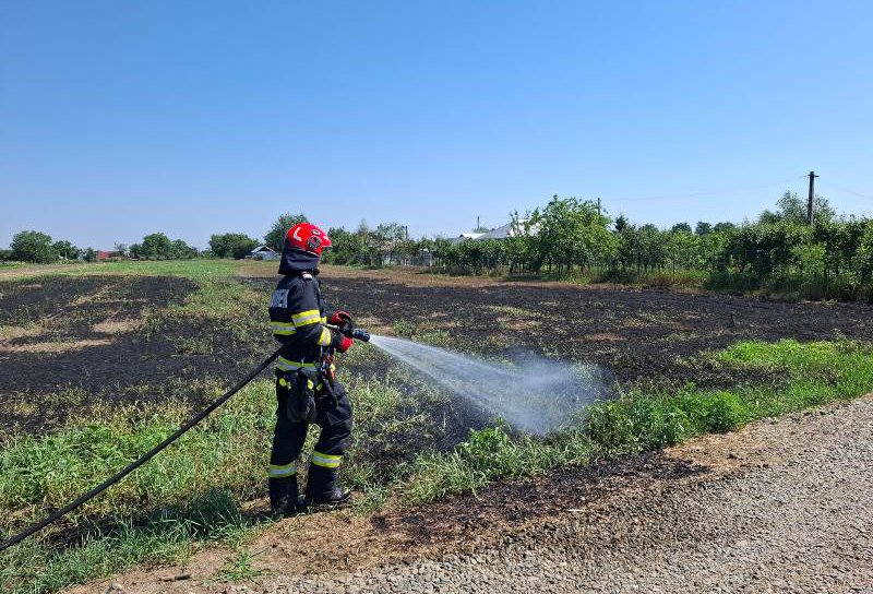 Trei incendii de vegetație uscată izbucnite în ultimele ore în județ. Zeci de hectare de stuf și copaci au ars