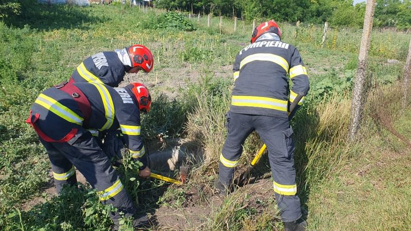 Taur rămas captiv într-o fântână salvat de pompieri - FOTO