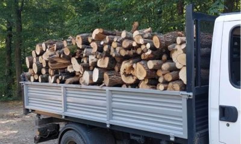 Tânăr din Darabani depistat în timp ce transporta material lemnos fără documente legale