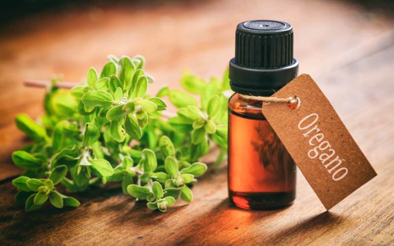 Oregano, condimentul care poate fi considerat dezinfectantul alimentelor