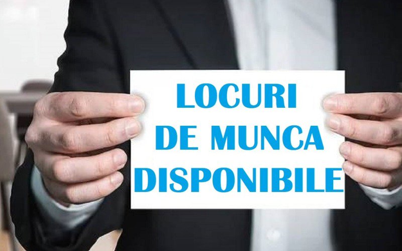 Locuri de muncă vacante la sfârșitul lunii iulie, în Județul Botoșani