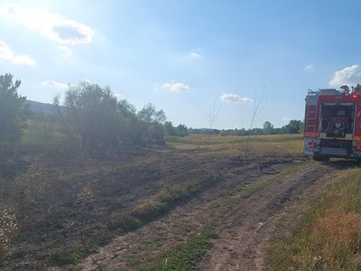 Pompierii au intervenit la trei …