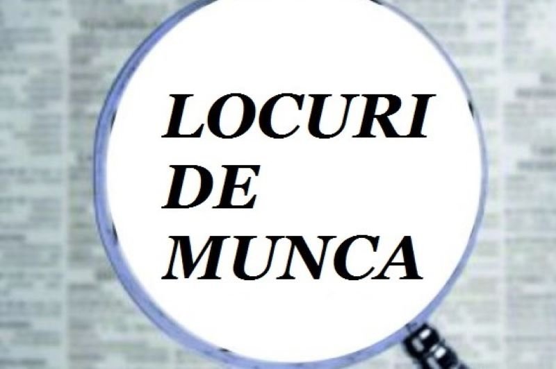 584 locuri de muncă vacante la nivelul județului Botoșani