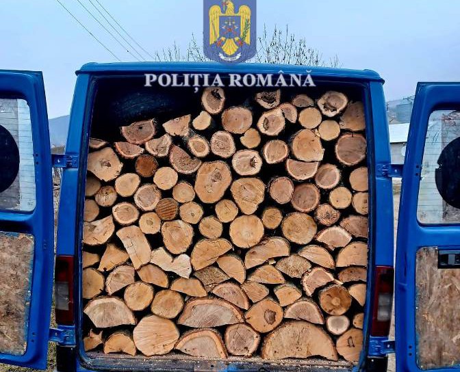 4 metri cubi de material lemnos confiscat de polițiștii din Mihăileni