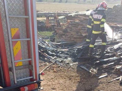 Incendiu într-o fermă de animale …