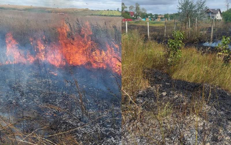 O casă și un lan de porumb în pericol din cauza unui incendiu de vegetaţie uscată