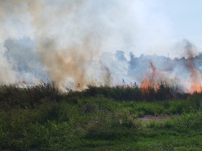 Incendiu la Suharău! Au ars …