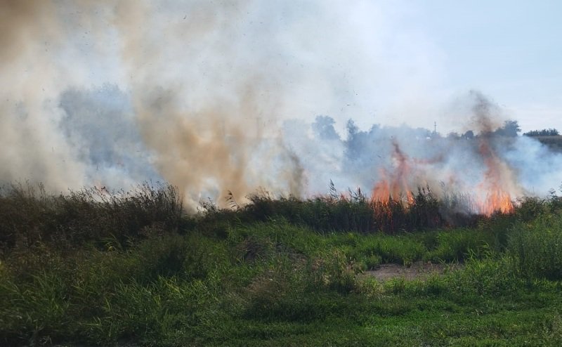 Incendiu la Suharău! Au ars vegetația uscată și stuful de pe aproximativ trei hectare