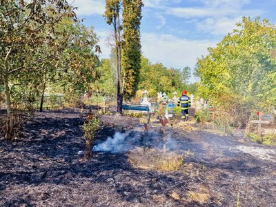 Incendiile necontrolate de vegetație au …