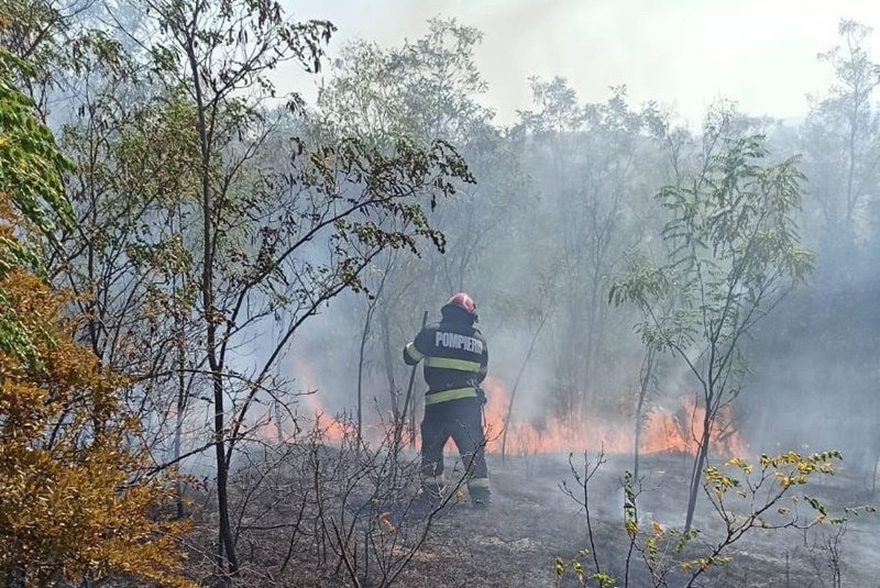 Șapte hectare de vegetație uscată, lăstăriș și mărăciniș au ars în comuna Brăești - FOTO