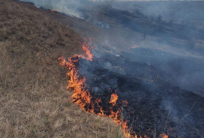 Pompierii botoșăneni au intervenit pentru stingerea a două incendii de vegetație uscată la Burlești și Stăuceni