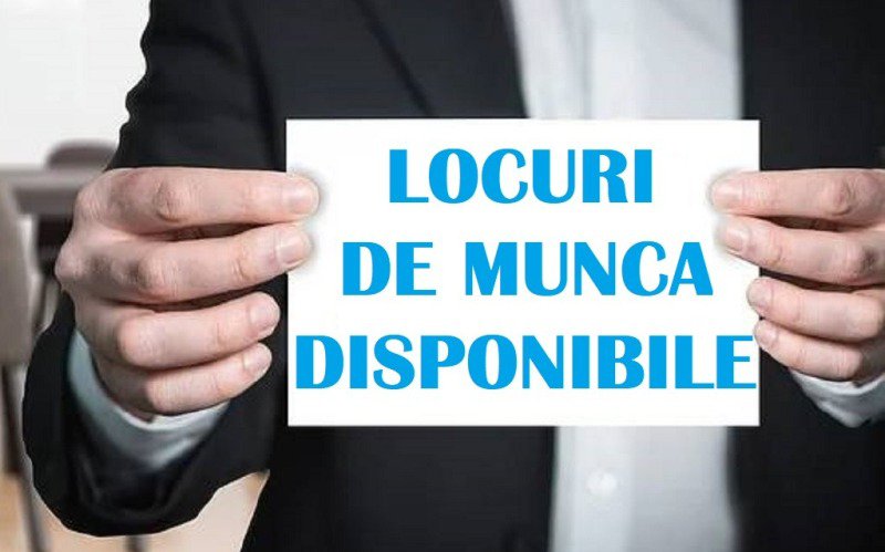 Locurile de muncă vacante la nivelul județului Botoșani la 14 octombrie