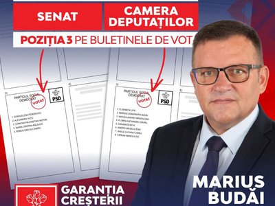 Deputatul PSD Marius Budăi susține …