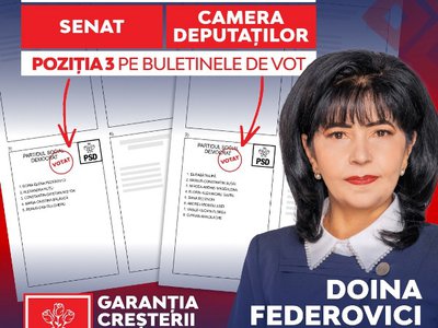 Doina Federovici: Măsuri pentru atragerea …