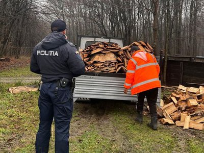 Material lemnos confiscat de Polițiștii …