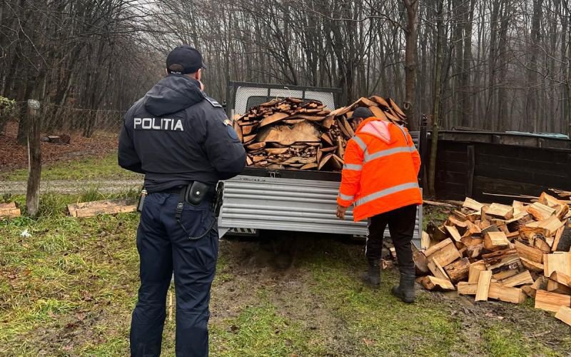 Material lemnos confiscat de Polițiștii din Dorohoi