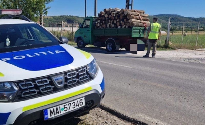 Acțiunile pentru prevenirea și combaterea tăierilor ilegale de arbori în județul Botoșani, continuă