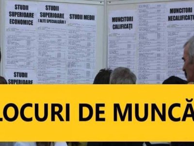 Locuri de muncă vacante și …