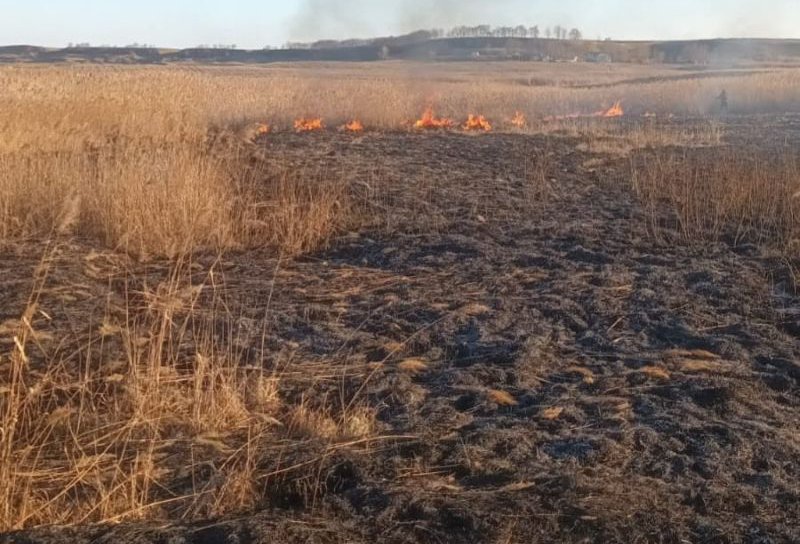 Două incendii de vegetație uscată la Văculești și Carasa ținute sub control de pompierii dorohoieni