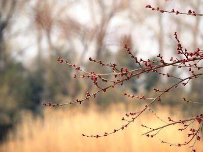 Weekend cu ploi în toată …