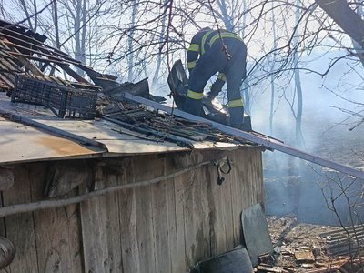 Incendiu puternic într-o gospodărie din …