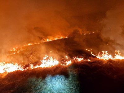 Șapte incendii de vegetație în …