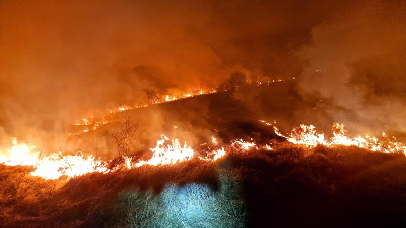 Șapte incendii de vegetație în ultimele 24 de ore. Pompierii au intervenit