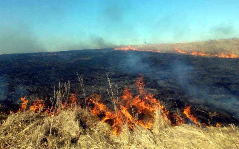 Amendă și dosar penal pentru fermieri care incendiază terenurile agricole