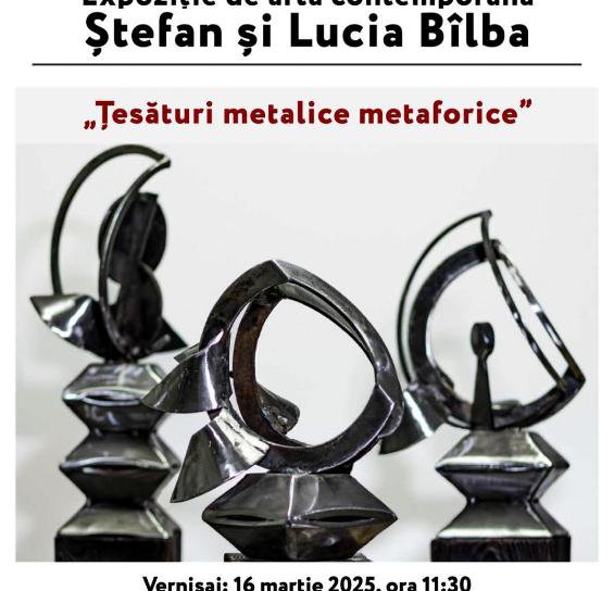 Expoziția „Țesături metalice metaforice” la Muzeul Județean Botoșani