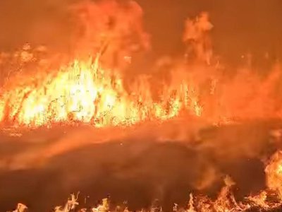 Pompierii au intervenit pentru stingerea …