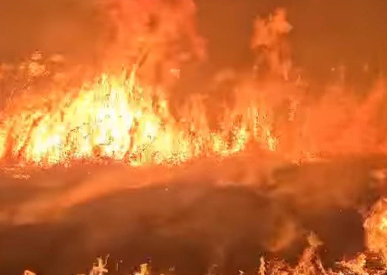 Pompierii au intervenit pentru stingerea a trei incendii de vegetație uscată, stuf și crengi uscate